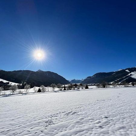 Haus Vogelmuehle Daire Flachau Dış mekan fotoğraf