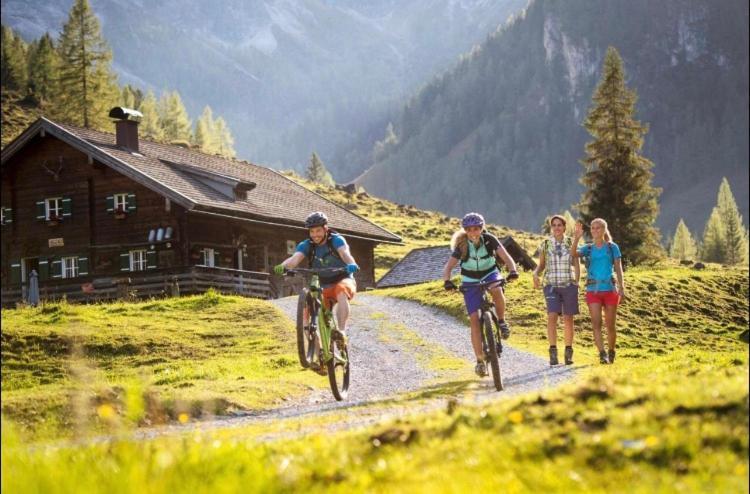Haus Vogelmuehle Daire Flachau Dış mekan fotoğraf